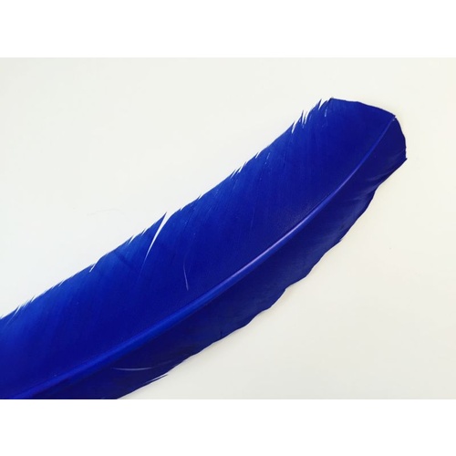Wing Feather - Royal