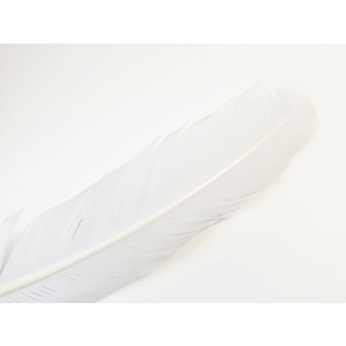 Wing Feather - White
