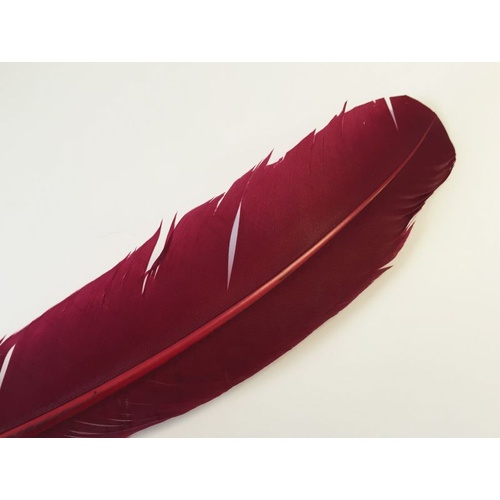 Wing Feather - Burgundy